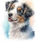 Preview: Diamond Painting Border Collie